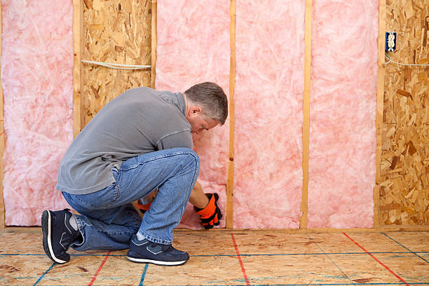 Best Local Insulation Services  in Oyster Creek, TX